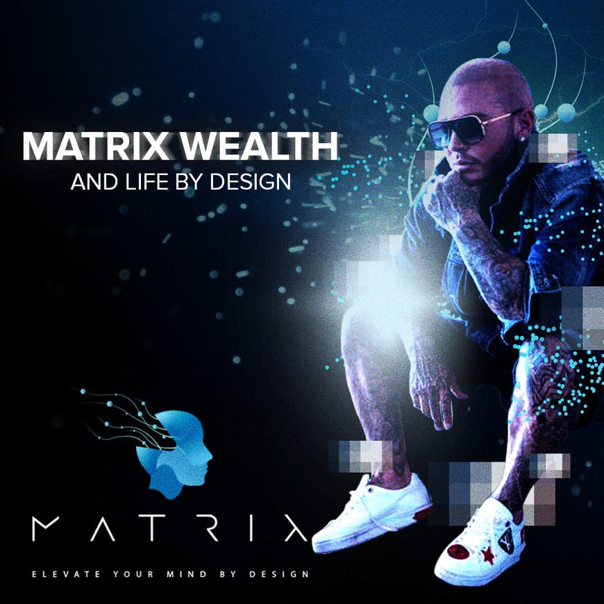 Matrix Wealth & Life By Design Program PRESALE - Scalpa Shop