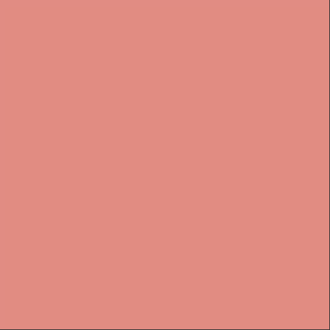 Vision Lip Pigment (Pink Pearl) - Scalpa Shop